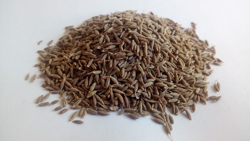Cumin seeds jeera bulk export India UAE Saudi Arabia Qatar
